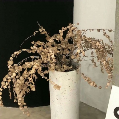 Furry插画元素搭配兽圈社群